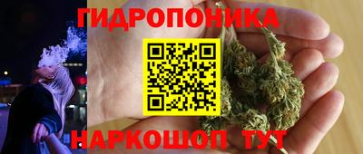 амф Дубна